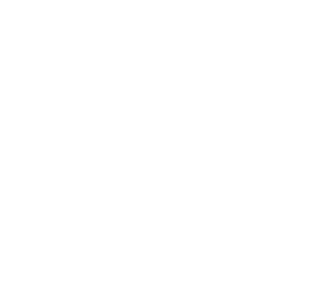 logo business point